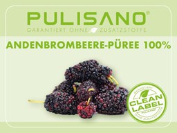 Zeige Details für Pulisano Fruchtpüree 100% Andenbrombeere (Mora) Bild von Pulisano Fruchtpüree 100% Andenbrombeere (Mora)