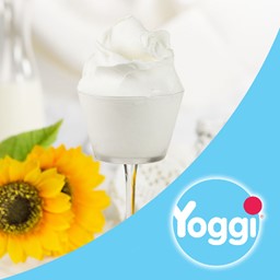 Zeige Details für Base Yogomix Pregel Bild von Base Yogomix Pregel