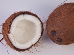Zeige Details für Kokos Paste NT Bild von Kokos Paste NT
