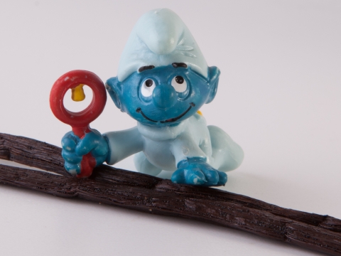 Bild von Paste Blaues Eis